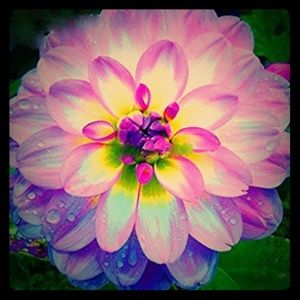 Meet your Posher, Bethany